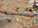 Cervia 2011-100